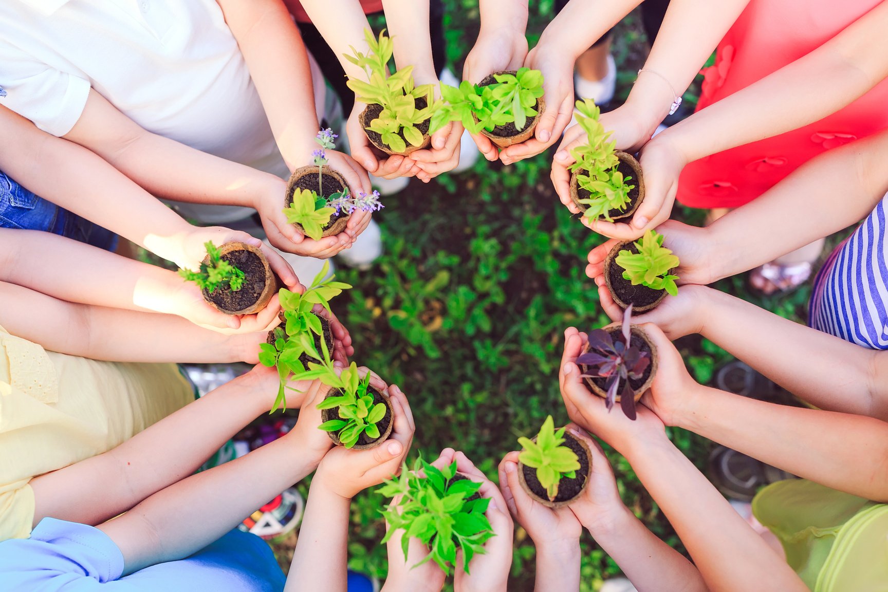 People Hands Cupping Plant In Nurture Environmental.